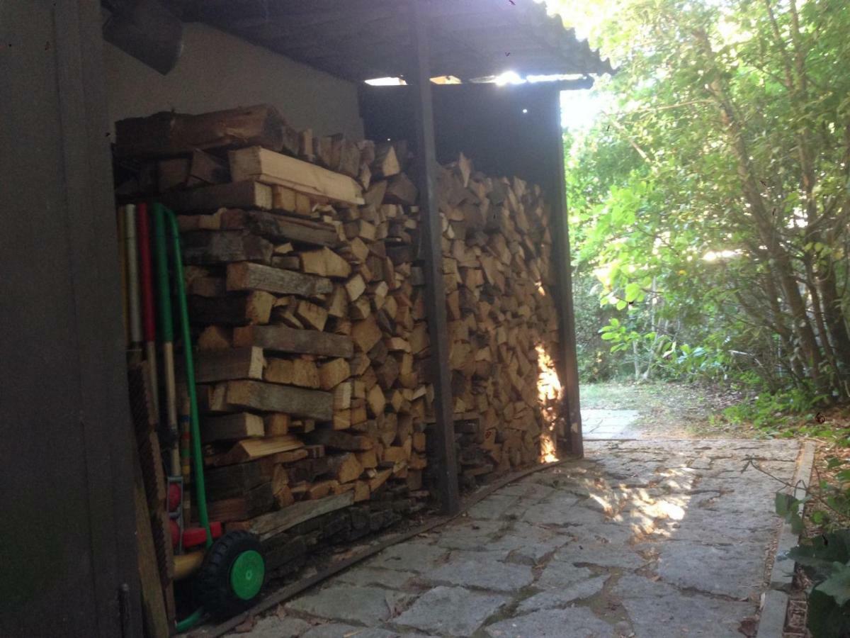 Casa Vacanze Mazurine10 Torri del Benaco Kültér fotó